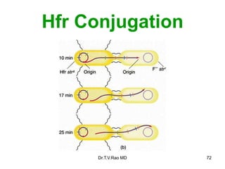 Hfr Conjugation
72
Dr.T.V.Rao MD
 