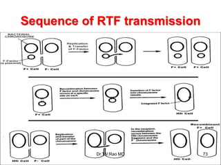 Sequence of RTF transmission
73
Dr.T.V.Rao MD
 