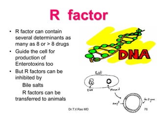 R factor
• R factor can contain
several determinants as
many as 8 or > 8 drugs
• Guide the cell for
production of
Enterotoxins too
• But R factors can be
inhibited by
Bile salts
R factors can be
transferred to animals
76
Dr.T.V.Rao MD
 