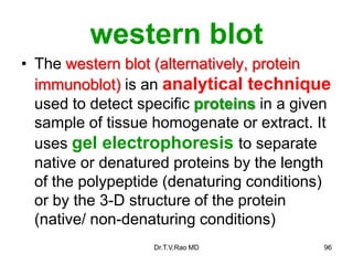 western blot
• The western blot (alternatively, protein
immunoblot) is an analytical technique
used to detect specific proteins in a given
sample of tissue homogenate or extract. It
uses gel electrophoresis to separate
native or denatured proteins by the length
of the polypeptide (denaturing conditions)
or by the 3-D structure of the protein
(native/ non-denaturing conditions)
96
Dr.T.V.Rao MD
 