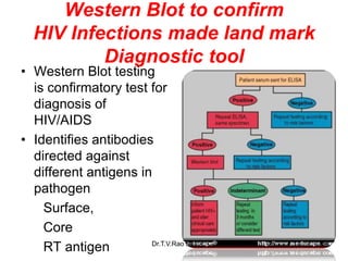 Western Blot to confirm
HIV Infections made land mark
Diagnostic tool
• Western Blot testing
is confirmatory test for
diagnosis of
HIV/AIDS
• Identifies antibodies
directed against
different antigens in
pathogen
Surface,
Core
RT antigen 99
Dr.T.V.Rao MD
 