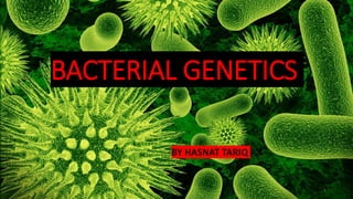 BACTERIAL GENETICS
BY HASNAT TARIQ
1
 
