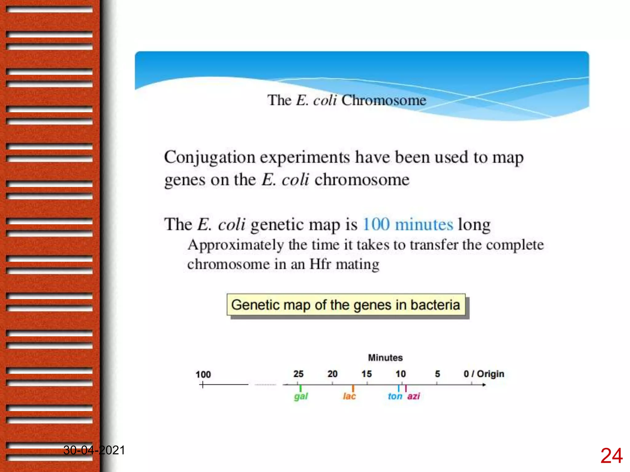 Bacterial genetics- gene mapping by recombination | PPTX