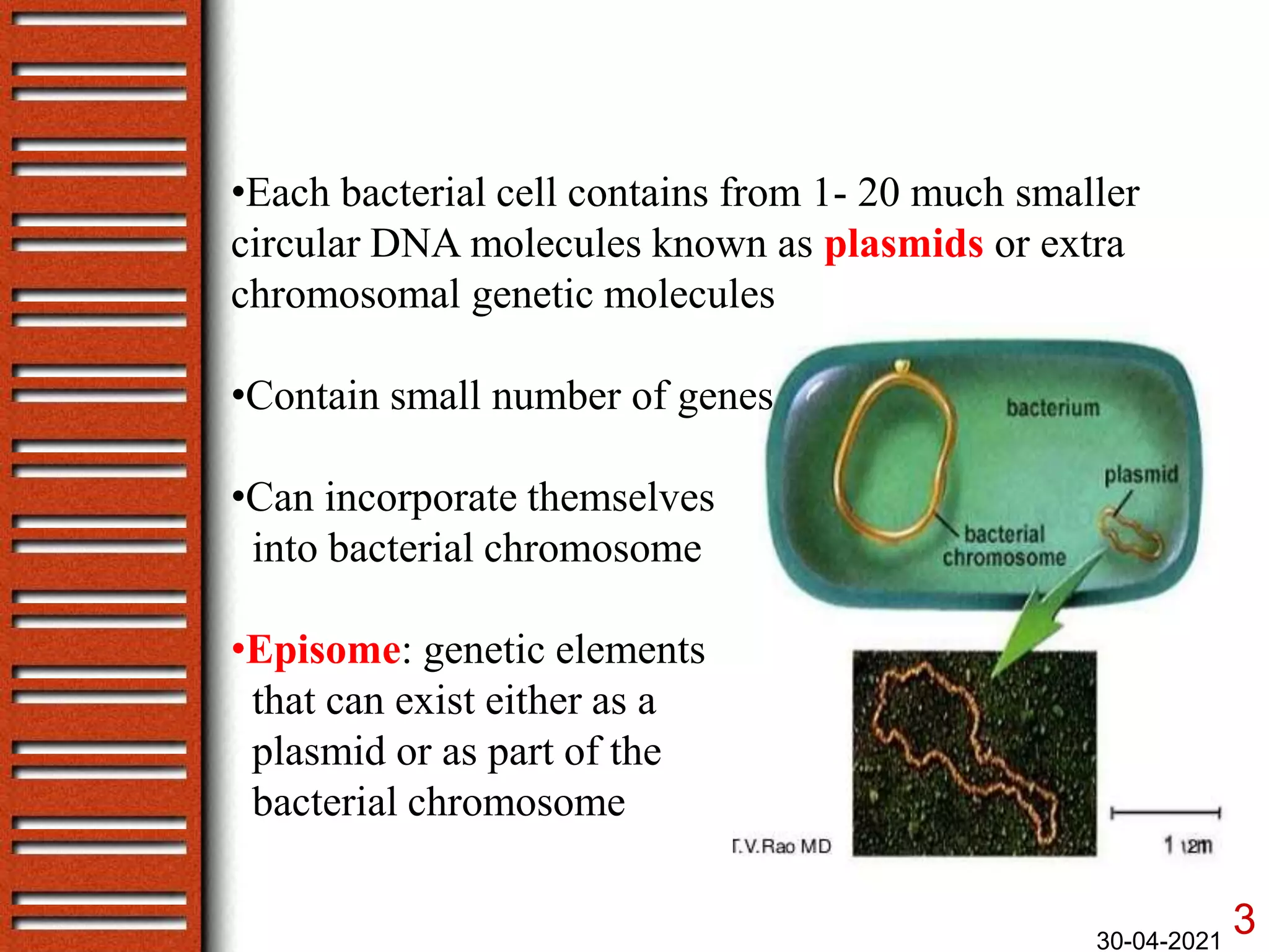 Bacterial genetics- gene mapping by recombination | PPTX