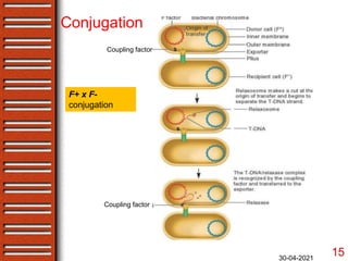 Bacterial genetics- gene mapping by recombination | PPTX