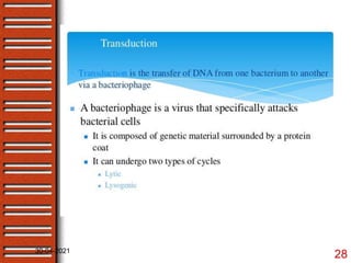 Bacterial genetics- gene mapping by recombination | PPTX