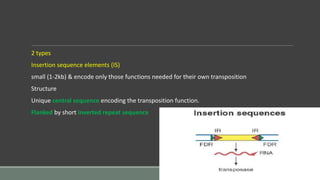 Transposition Inverted Sequences Bacterial genetics | PPTX