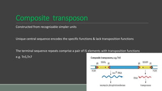 Composite transposon
Constructed from recognizable simpler units
Unique central sequence encodes the specific functions & lack transposition functions
The terminal sequence repeats comprise a pair of IS elements with transposition functions
e.g. Tn5,Tn7
 