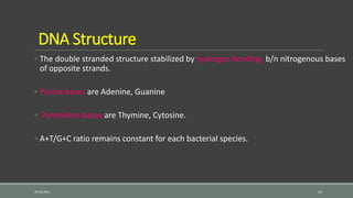 DNA Structure
◦ The double stranded structure stabilized by hydrogen bonding b/n nitrogenous bases
of opposite strands.
◦ Purine bases are Adenine, Guanine
◦ Pyrimidine bases are Thymine, Cytosine.
◦ A+T/G+C ratio remains constant for each bacterial species.
26-06-2021 12
 