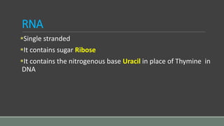 RNA
Single stranded
It contains sugar Ribose
It contains the nitrogenous base Uracil in place of Thymine in
DNA
 