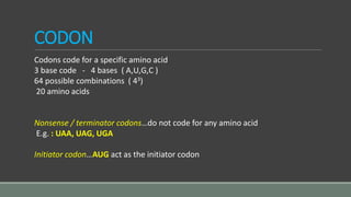 CODON
Codons code for a specific amino acid
3 base code - 4 bases ( A,U,G,C )
64 possible combinations ( 43)
20 amino acids
Nonsense / terminator codons…do not code for any amino acid
E.g. : UAA, UAG, UGA
Initiator codon…AUG act as the initiator codon
 
