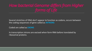 How bacterial Genome differs from Higher
forms of Life
Several stretches of DNA don't appear to function as codons, occurs between
the coding sequences of gene called as INTRONS
Coded are called as EXONS
In transcription introns are excised when form RNA before translated by
ribosomal proteins.
 