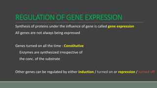 REGULATION OF GENE EXPRESSION
Synthesis of proteins under the influence of gene is called gene expression
All genes are not always being expressed
Genes turned on all the time - Constitutive
Enzymes are synthesized irrespective of
the conc. of the substrate
Other genes can be regulated by either induction / turned on or repression / turned off
 
