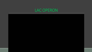 LAC OPERON
 