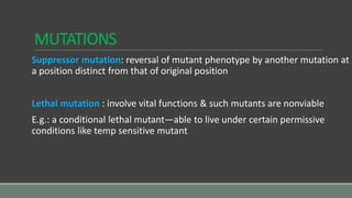 MUTATIONS
Suppressor mutation: reversal of mutant phenotype by another mutation at
a position distinct from that of original position
Lethal mutation : involve vital functions & such mutants are nonviable
E.g.: a conditional lethal mutant—able to live under certain permissive
conditions like temp sensitive mutant
 