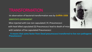 TRANSFORMATION
Ist observation of bacterial transformation was by Griffith 1928
GRIFFITH’S EXPERIMENT
Mice injected with Live non capsulated ( R ) Pneumococci
with heat killed capsulated (S) Pneumococci lead to death of mice
with isolation of live capsulated Pneumococci
It means that some factor from Dead pneumococci transferred to live non pathogenic
Pneumococci
 