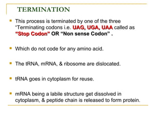  This process is terminated by one of the three
“Terminating codons i.e. UAG, UGA,UAG, UGA, UAAUAA called as
“Stop Codon”“Stop Codon” OR “Non sense Codon” .OR “Non sense Codon” .
 Which do not code for any amino acid.
 The tRNA, mRNA, & ribosome are dislocated.
 tRNA goes in cytoplasm for reuse.
 mRNA being a labile structure get dissolved in
cytoplasm, & peptide chain is released to form protein.
TERMINATION
 