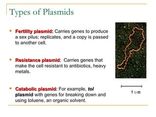 Types of Plasmids
 Fertility plasmid:Fertility plasmid: Carries genes to produce
a sex pilus; replicates, and a copy is passed
to another cell.
 Resistance plasmidResistance plasmid:: Carries genes that
make the cell resistant to antibiotics, heavy
metals.
 Catabolic plasmidCatabolic plasmid:: For example, toltol
plasmidplasmid with genes for breaking down and
using toluene, an organic solvent.
 