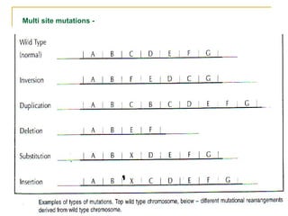 Multi site mutations -
 