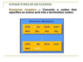 OTHER TYPES OF MUTATIONS
Nonsense mutation – Converts a codon that
specifies an amino acid into a termination codon.
 