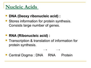 Nucleic Acids
 DNA (Deoxy ribonucleic acid) :DNA (Deoxy ribonucleic acid) :
 Stores information for protein synthesis.
Consists large number of genes.
 RNA (Ribonucleic acid) :RNA (Ribonucleic acid) :
 Transcription & translation of information for
protein synthesis.
 Central Dogma : DNA RNA Protein
 