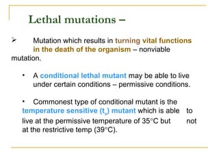  Mutation which results in turning vital functions
in the death of the organism – nonviable
mutation.
• A conditional lethal mutant may be able to live
under certain conditions – permissive conditions.
• Commonest type of conditional mutant is the
temperature sensitive (ts
) mutant which is able to
live at the permissive temperature of 35°C but not
at the restrictive temp (39°C).
Lethal mutations –
 