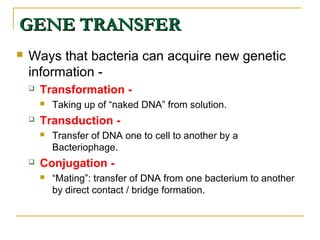 GENE TRANSFERGENE TRANSFER
 Ways that bacteria can acquire new genetic
information -
 Transformation -
 Taking up of “naked DNA” from solution.
 Transduction -
 Transfer of DNA one to cell to another by a
Bacteriophage.
 Conjugation -
 “Mating”: transfer of DNA from one bacterium to another
by direct contact / bridge formation.
 