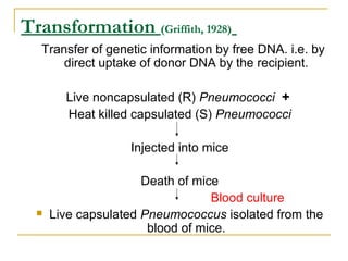 Transformation (Griffith, 1928)
Transfer of genetic information by free DNA. i.e. by
direct uptake of donor DNA by the recipient.
Live noncapsulated (R) Pneumococci +
Heat killed capsulated (S) Pneumococci
Injected into mice
Death of mice
Blood culture
 Live capsulated Pneumococcus isolated from the
blood of mice.
 