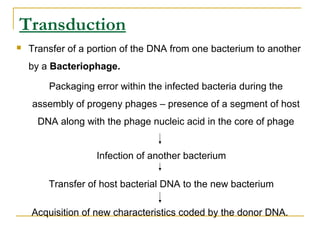 Transduction
 Transfer of a portion of the DNA from one bacterium to another
by a Bacteriophage.
Packaging error within the infected bacteria during the
assembly of progeny phages – presence of a segment of host
DNA along with the phage nucleic acid in the core of phage
Infection of another bacterium
Transfer of host bacterial DNA to the new bacterium
Acquisition of new characteristics coded by the donor DNA.
 