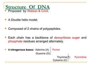 Structure Of DNA
 Proposed by Watson & Crick.
 A Double helix model.
 Composed of 2 chains of polypeptides.
 Each chain has a backbone of deoxyribose sugar and
phosphate residues arranged alternately.
 4 nitrogenous bases:4 nitrogenous bases: Adenine (A) Purine
Guanine (G)
Thymine(T) Pyrimidine
Cytosine (C)
 