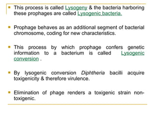 This process is called Lysogeny & the bacteria harboring
these prophages are called Lysogenic bacteria.
 Prophage behaves as an additional segment of bacterial
chromosome, coding for new characteristics.
 This process by which prophage confers genetic
information to a bacterium is called Lysogenic
conversion .
 By lysogenic conversion Diphtheria bacilli acquire
toxigenicity & therefore virulence.
 Elimination of phage renders a toxigenic strain non-
toxigenic.
 