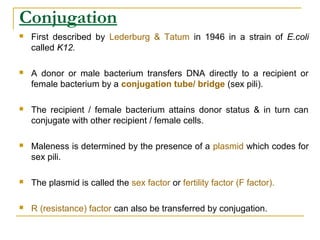 Conjugation
 First described by Lederburg & Tatum in 1946 in a strain of E.coli
called K12.
 A donor or male bacterium transfers DNA directly to a recipient or
female bacterium by a conjugation tube/ bridge (sex pili).
 The recipient / female bacterium attains donor status & in turn can
conjugate with other recipient / female cells.
 Maleness is determined by the presence of a plasmid which codes for
sex pili.
 The plasmid is called the sex factor or fertility factor (F factor).
 R (resistance) factor can also be transferred by conjugation.
 