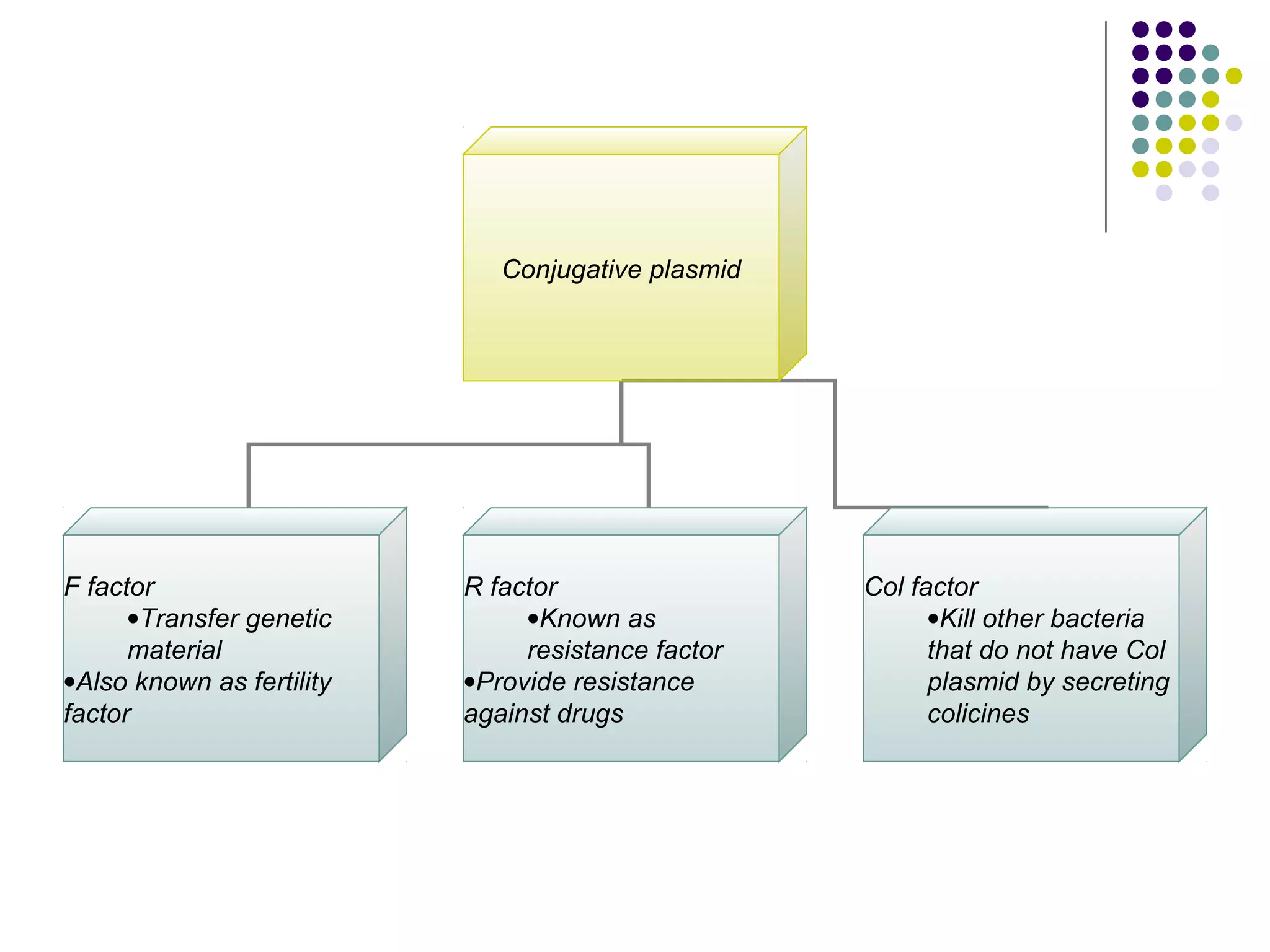 Conjugative plasmid
F factor
•Transfer genetic
material
•Also known as fertility
factor
R factor
•Known as
resistance factor
•Provide resistance
against drugs
Col factor
•Kill other bacteria
that do not have Col
plasmid by secreting
colicines
 