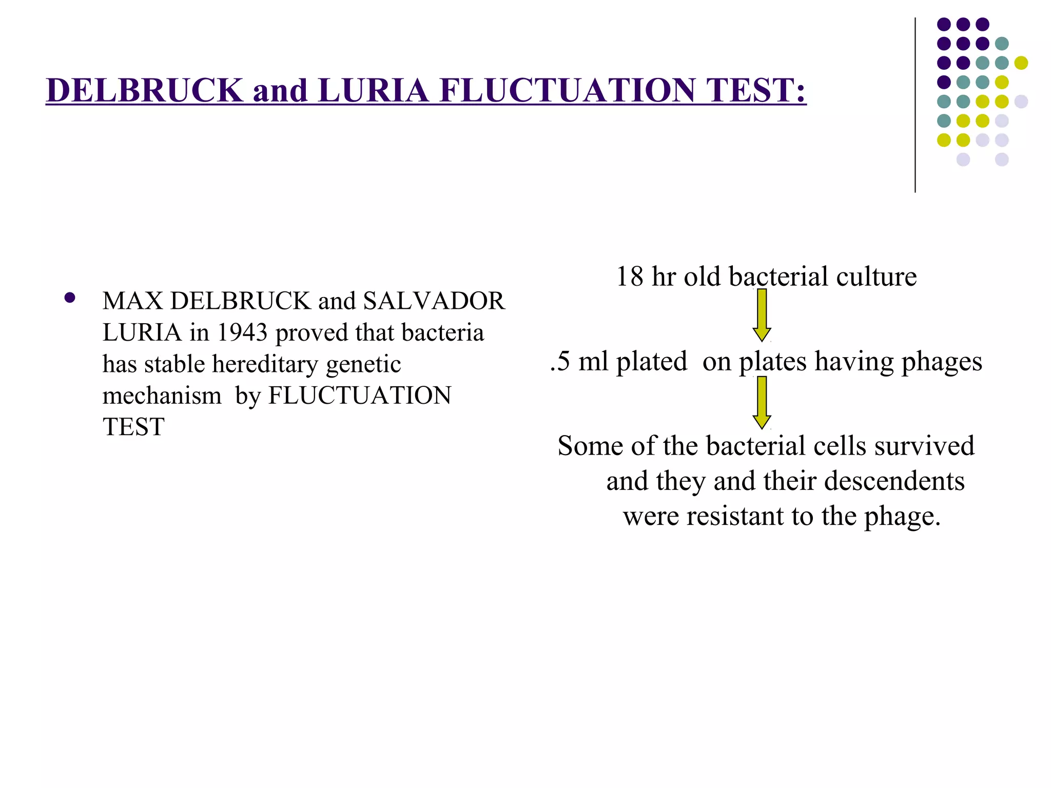 DELBRUCK and LURIA FLUCTUATION TEST:
 MAX DELBRUCK and SALVADOR
LURIA in 1943 proved that bacteria
has stable hereditary genetic
mechanism by FLUCTUATION
TEST
18 hr old bacterial culture
.5 ml plated on plates having phages
Some of the bacterial cells survived
and they and their descendents
were resistant to the phage.
 