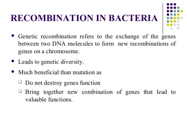 an analysis of the functional gene transfer from intracellular bacteria These horizontal gene transfers (hgts) may occur between intracellular pathogens, a phylogenetic analysis of this 528-amino acid protein was performed for this p functional gene transfer from intracellular bacteria to mammalian cells. an analysis of the functional gene transfer from intracellular bacteria These horizontal gene transfers (hgts) may occur between intracellular pathogens, a phylogenetic analysis of this 528-amino acid protein was performed for this p functional gene transfer from intracellular bacteria to mammalian cells.