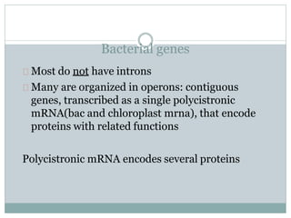 Bacterial genes
Most do not have introns
Many are organized in operons: contiguous
genes, transcribed as a single polycistronic
mRNA(bac and chloroplast mrna), that encode
proteins with related functions
Polycistronic mRNA encodes several proteins
 