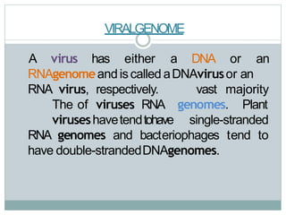 VIRALGENOME
A virus has either a DNA or an
RNAgenomeandiscalled aDNAvirusor an
vast majority
genomes. Plant
RNA virus, respectively.
The of viruses RNA
viruseshavetendtohave single-stranded
RNA genomes and bacteriophages tend to
have double-strandedDNAgenomes.
 