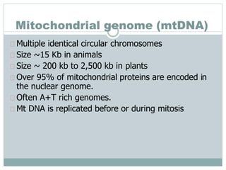 Mitochondrial genome (mtDNA)
Multiple identical circular chromosomes
Size ~15 Kb in animals
Size ~ 200 kb to 2,500 kb in plants
Over 95% of mitochondrial proteins are encoded in
the nuclear genome.
Often A+T rich genomes.
Mt DNA is replicated before or during mitosis
 