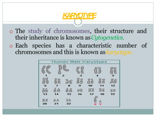 KARYOTYPE
o The study of chromosomes, their structure and
their inheritance is known asCytogenetics.
o Each species has a characteristic number of
chromosomes and this is known askaryotype.
 