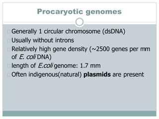 Procaryotic genomes
Generally 1 circular chromosome (dsDNA)
Usually without introns
Relatively high gene density (~2500 genes per mm
of E. coli DNA)
length of E.coli genome: 1.7 mm
Often indigenous(natural) plasmids are present
 