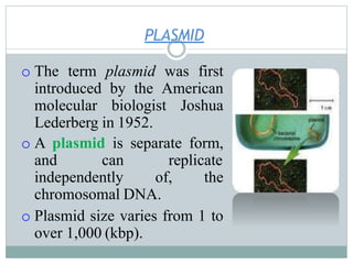 PLASMID
o The term plasmid was first
introduced by the American
molecular biologist Joshua
Lederberg in 1952.
o A plasmid is separate form,
and can replicate
independently of, the
chromosomal DNA.
o Plasmid size varies from 1 to
over 1,000 (kbp).
 