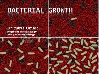 Dr Maria Omair Registrar Microbiology Army Medical College 