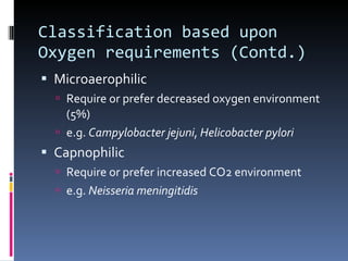 Bacterial Growth | PPT
