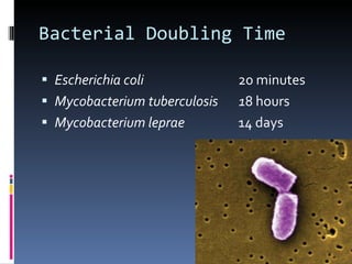 Bacterial Growth | PPT