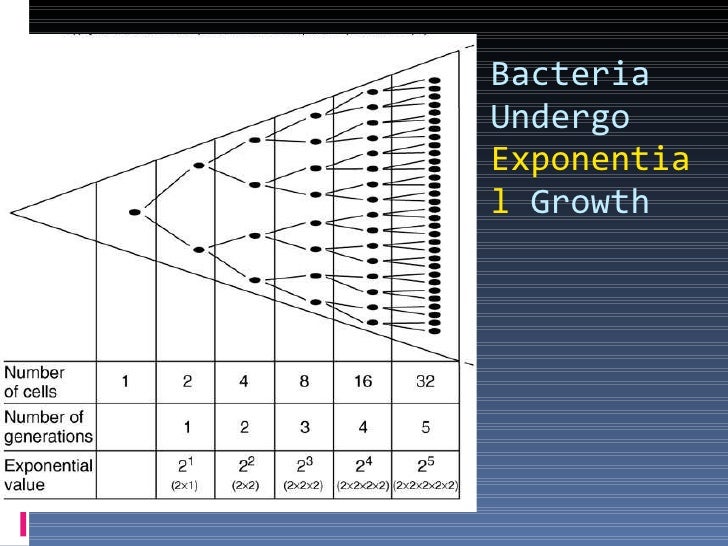 Exponential Bacterial Growth Formula Exponential Bacterial Growth Formula