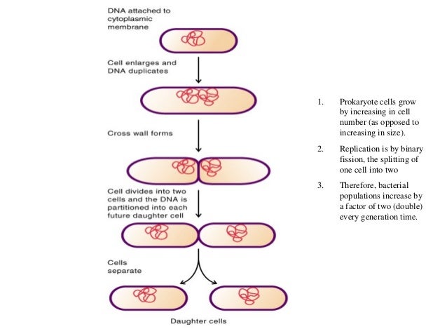 image.slidesharecdn.com