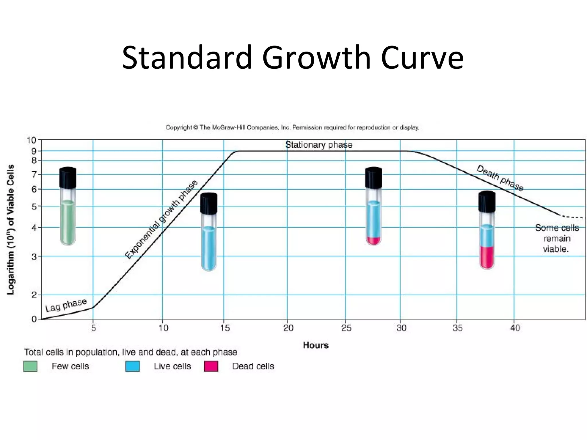 Growth Curve Of Bacteria Bacterial growth | PPT | Biological Sciences | Science