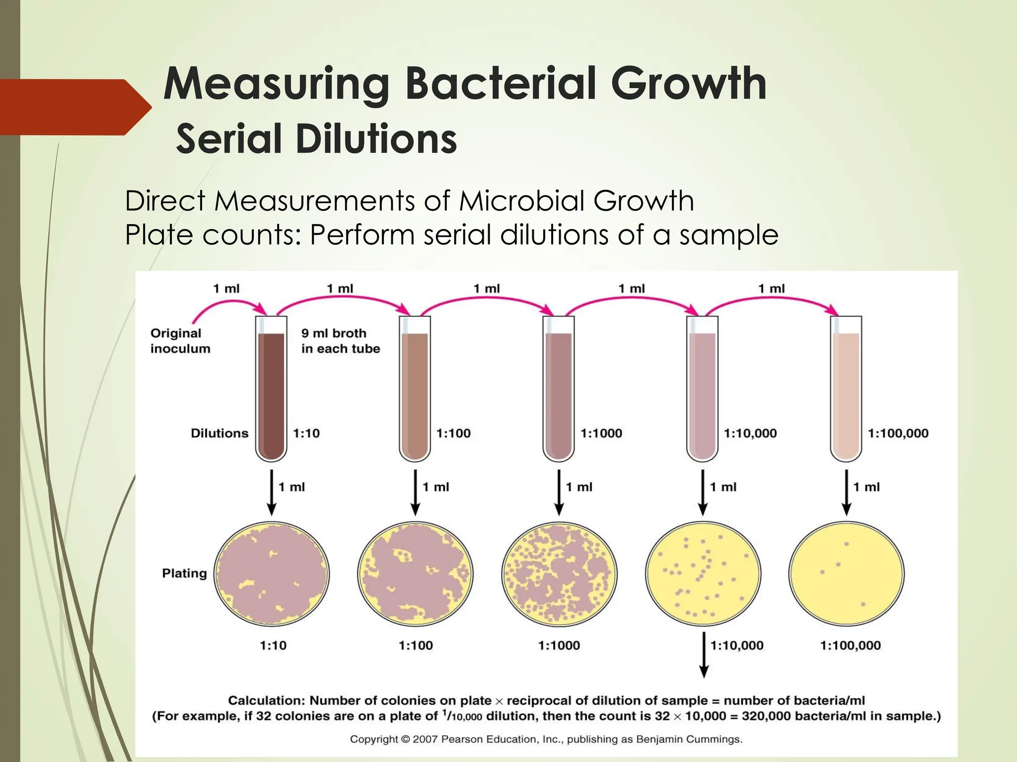 Measuring Bacterial Growth
Serial Dilutions
Direct Measurements of Microbial Growth
Plate counts: Perform serial dilutions of a sample
 