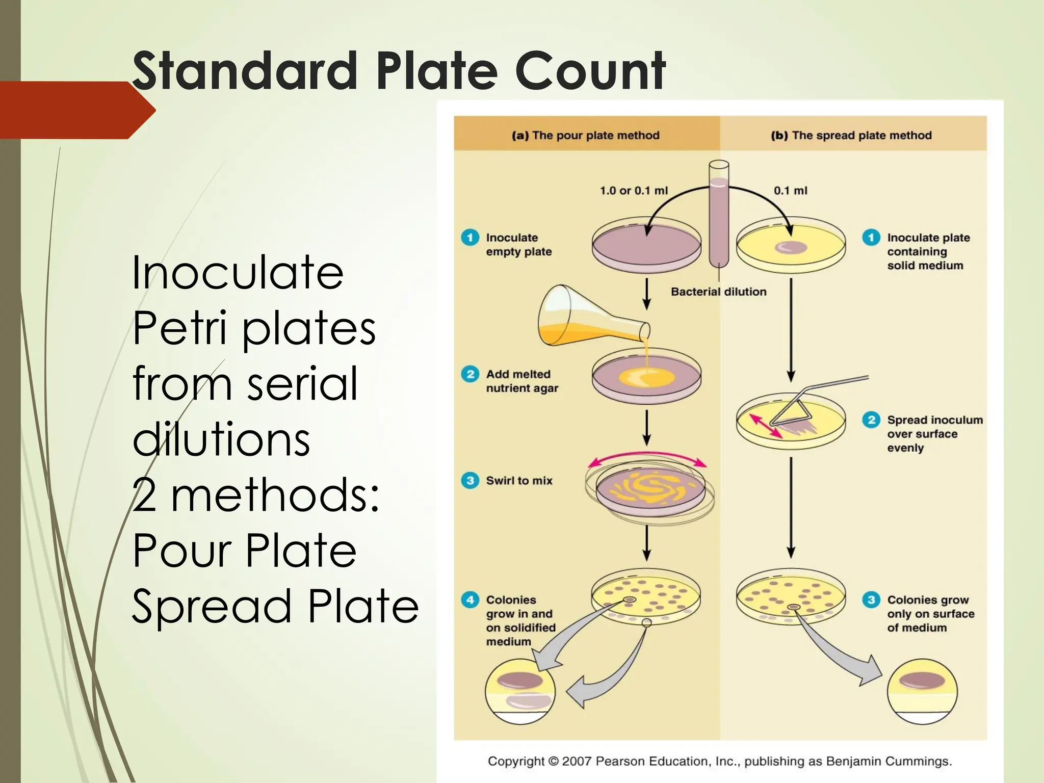 Standard Plate Count
Inoculate
Petri plates
from serial
dilutions
2 methods:
Pour Plate
Spread Plate
 