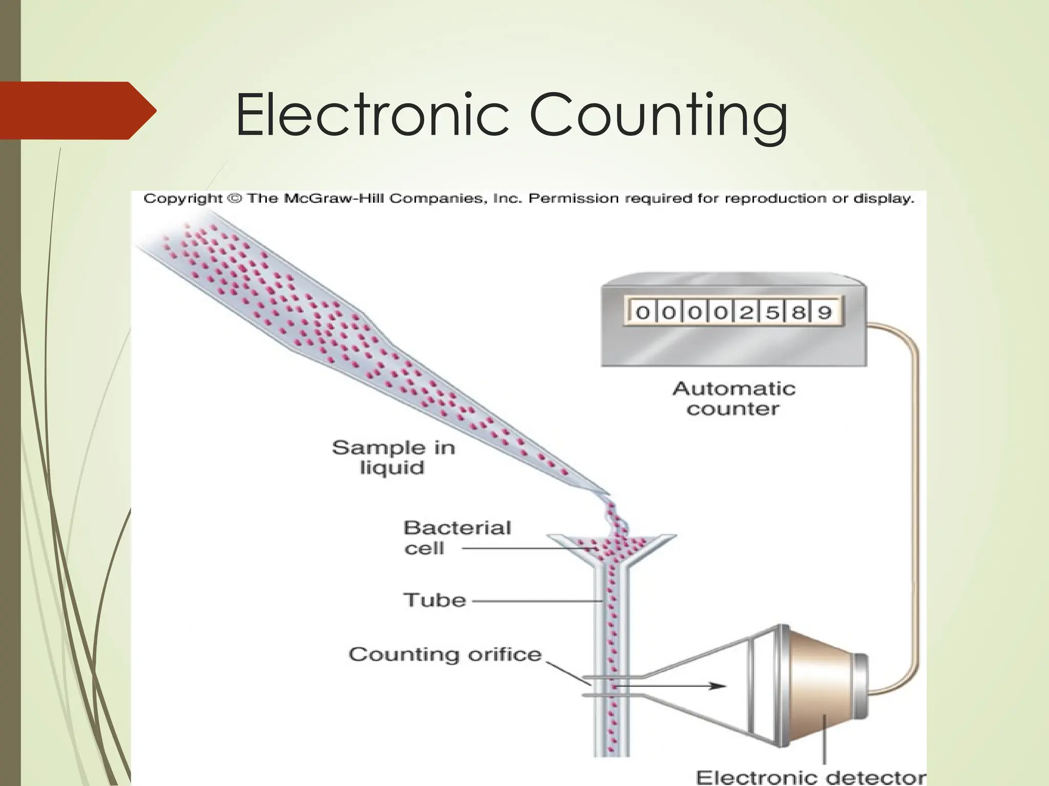 Electronic Counting
 